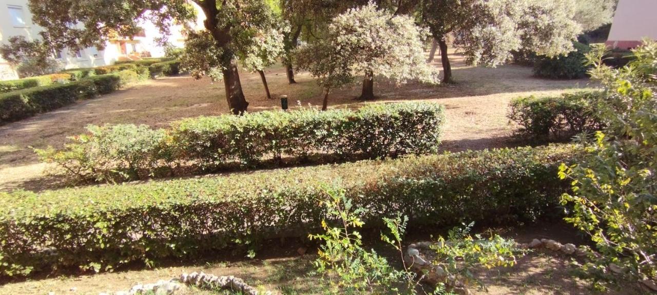 Appartement Spacieux Avec Parking Gratuit Sète Dış mekan fotoğraf